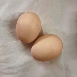 Local Eggs - Image 3