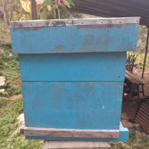 Wooden Bee Hive